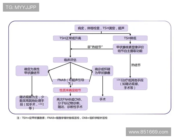 从零起步掌握篮球比赛技巧与策略的全面指南